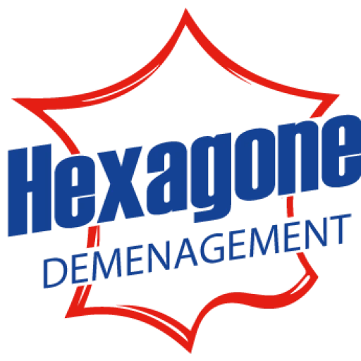 Logo couleur Hexagone D&eacute;m&eacute;nagement
